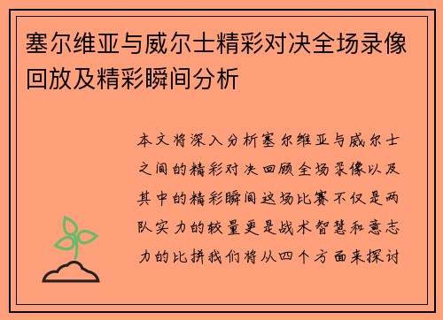 塞尔维亚与威尔士精彩对决全场录像回放及精彩瞬间分析